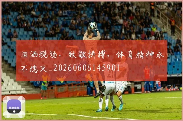 泪洒现场,致敬拼搏,体育精神永不熄灭_20260606145901