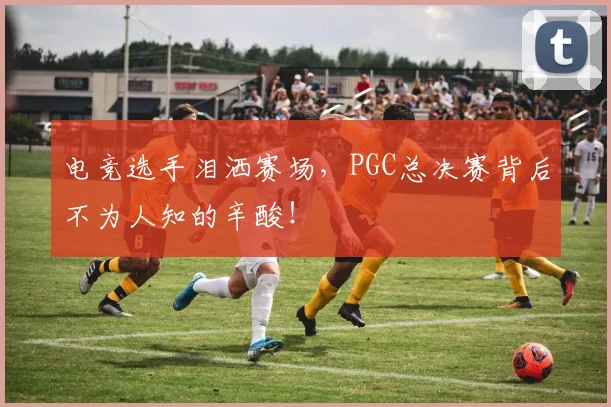 电竞选手泪洒赛场,PGC总决赛背后不为人知的辛酸!