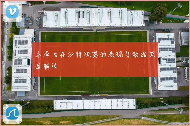 本泽马在沙特联赛的表现与数据深度解读