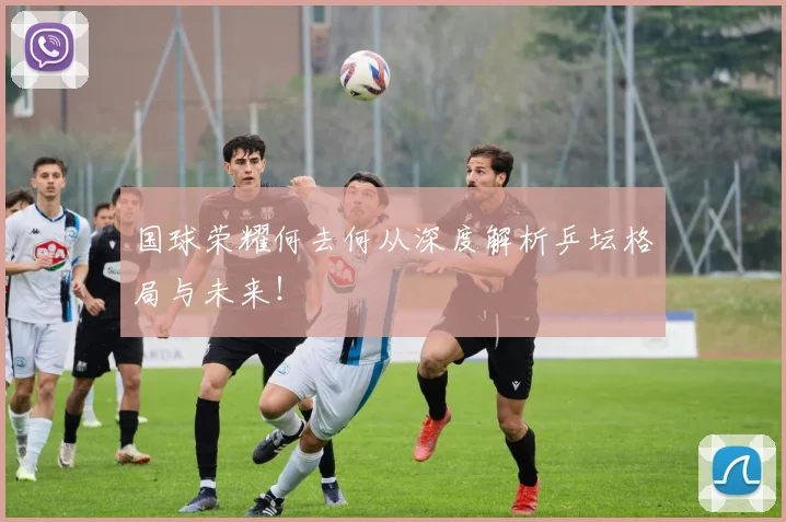 国球荣耀何去何从深度解析乒坛格局与未来！