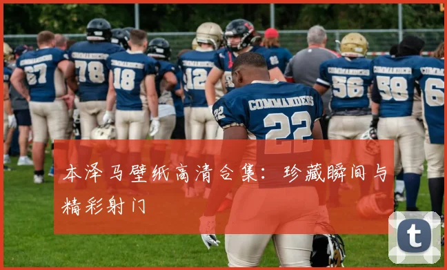 本泽马壁纸高清合集：珍藏瞬间与精彩射门