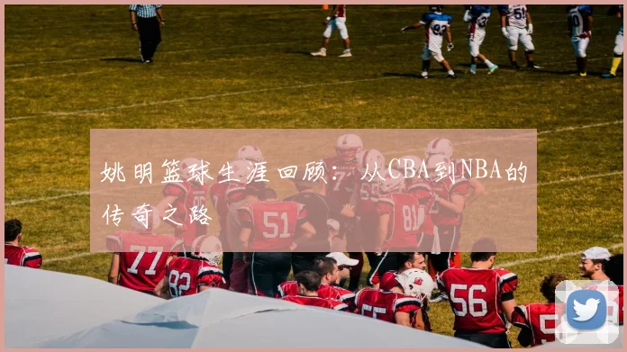 姚明篮球生涯回顾：从CBA到NBA的传奇之路