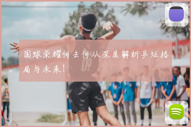 国球荣耀何去何从深度解析乒坛格局与未来！