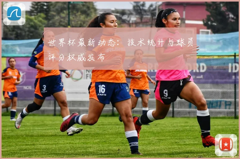 世界杯最新动态：技术统计与球员评分权威发布