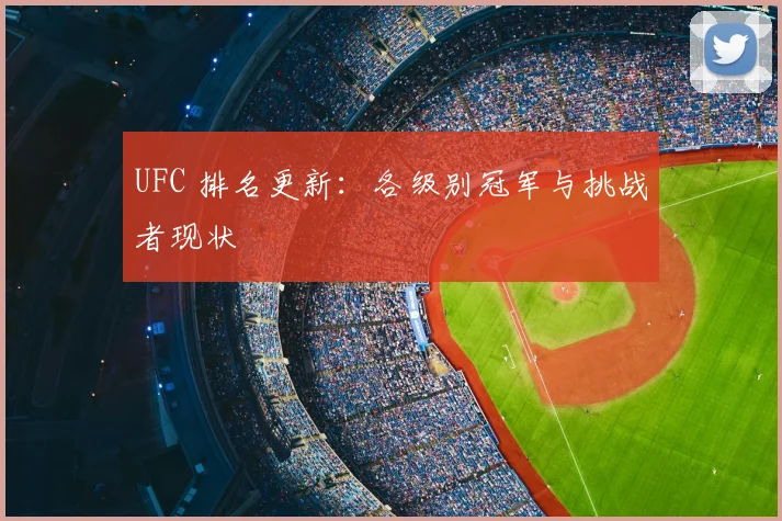 UFC 排名更新：各级别冠军与挑战者现状